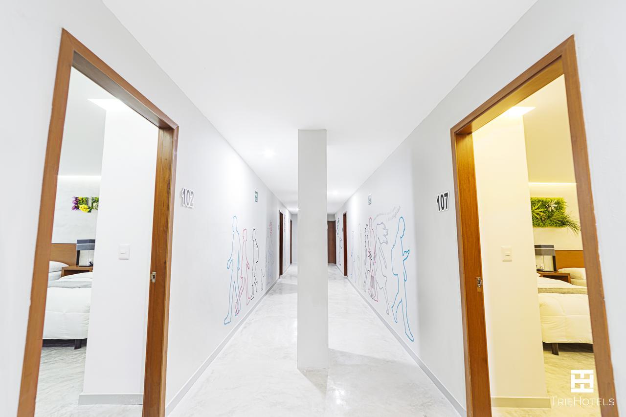 Hotel Urban 101 Chetumal Bagian luar foto
